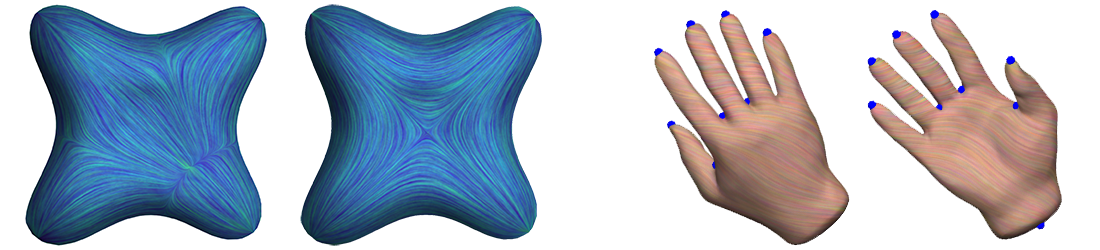 Discrete Derivatives of Vector Fields on Surfaces – An Operator Approach