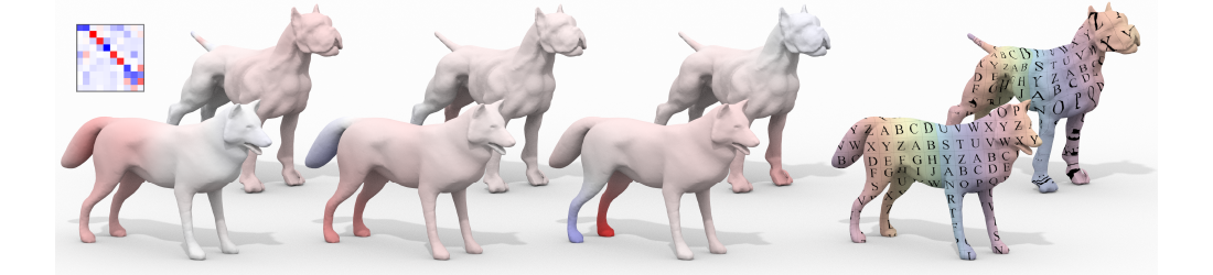 A Data-Driven Approach to Functional Map Construction and Bases Pursuit